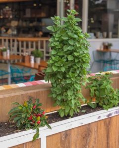 Best Restaurants Glen Waverley